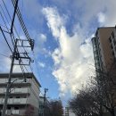 강원도교육청 | Tokyo🇯🇵Dec week#1: 강원도교육청방문과 중등입시, 파티준비🎉