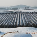 주간농사정보 제 44호 (2025.11.10.~11.16.) 이미지