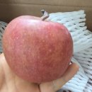 아자몰 | 🍎 아자몰 사과 내돈내산 후기! 신선함이 살아있어요