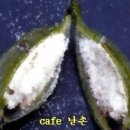 한국춘란의 십이(12)달 관리 배양(762)/한국춘란 번식과 단상 이미지