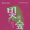 빛의 숲 이미지