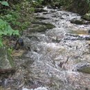 상가농장 이미지