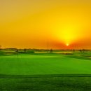 솔라고CC 라고 이미지