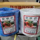 대성소프트 이미지