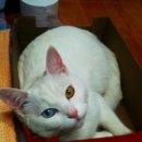 양평2동-1 이미지