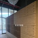 프로파벽