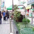 순화당약국 이미지