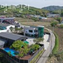 애니멀 패밀리 이미지