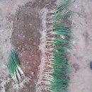 쁘띠펜션 이미지