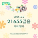 OWL's(아울스) | 탕코트, 차찬탱 레드티, 제니쿠키, 카우키, 홍콩섬 야경 버스 투어, 침사추이 관광 코스, 아울스 젤라또 슈