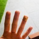 ACC 한가위 한마당 ''''보름달 아시아'''' 이미지