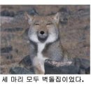 레전드학원 - 청주시 서원구 예체로29번길 17 | 레전드학원