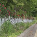 옥산로60 네이버블로그
