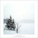 Reminiscence 이미지