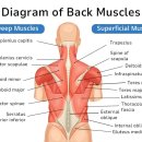 포커스짐 이미지