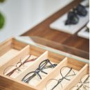 안경나무 이미지