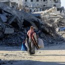 연막법인 이미지