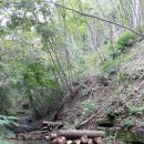 지재농장 이미지