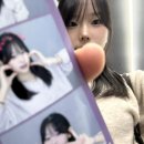 행복한개 이미지