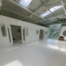 코리아애견샵 이미지