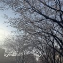 세븐일레븐 동교숲길점 | 공덕 빵집 뱅스톡 후기｜경의선 숲길 피크닉, 공덕 데이트 코스 추천