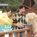 소월농장 이미지