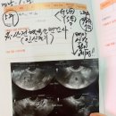 한빛산부인과의원 이미지