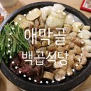 [춘천맛집] 애막골 백곱식당 모듬곱창 먹은 후기👍🏻