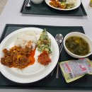 영월교육도서관 | 코이카 프로젝트 봉사단 4기 영월 국내교육 1주차 후기 ✨️