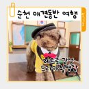 꼬꼬야놀자 | 순천 애견동반 여행 가볼만한곳ㅡ레트로 감성 순천 드라마촬영장