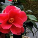 이화원(온실) 이미지