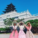 ARV KOREA 이미지