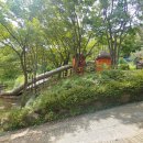 황령산레포츠공원(생태공원) | 황령산 생태놀이공원, 레포츠공원 아이들과 숲 놀이터 다녀온 후기!