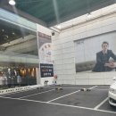 풍년가식당 | 청천동 맛집 1982삼계정 내돈내산 후기