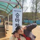 아이와 함께 특별한 체험 "우농타조농장" 방문 후기