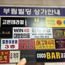 부림빌딩 | 2026.04.21 안양 평촌역술집 / 범계술집 안주가 맛있는 곳 [바이찬]