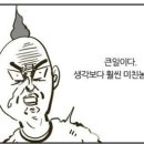 데일리아이래쉬 이미지