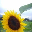 곤지암도자기공원 이미지