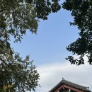도담안경 | [세종] 가성비 안경점 ‘으뜸플러스안경 세종도담점’ 내돈내산 솔직후기