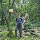 나무쉼터 이미지