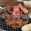 매탄동맛집 [소주행 소가주는행복 육류식당] 살치살 먹고 온 후기 소고기 전문점 추천
