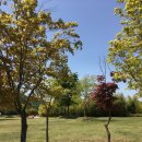 GS25태화강정원점 이미지