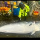 동해-단속-24 이미지