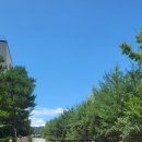 위례하늘유치원 이미지