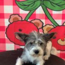 큐티살롱 이미지