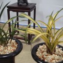 동래원예고등학교 이미지