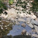 신안갈전마을 이미지