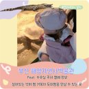 푸른하늘어린이집 | 부산해양자연사박물관 5개월 16개월 아기랑 후기 feat. 악어 뱀 거북이