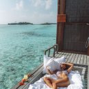 지상낙원 이미지