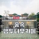 숲속앵두나무
